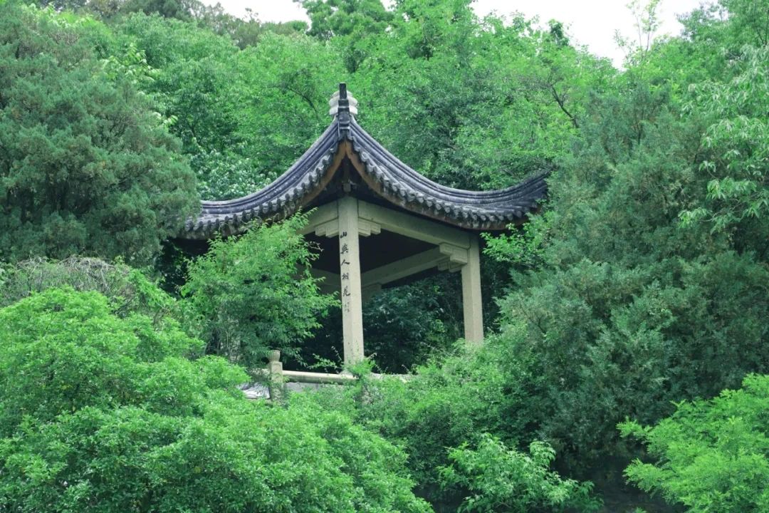 西山岛夏日避暑攻略来了！