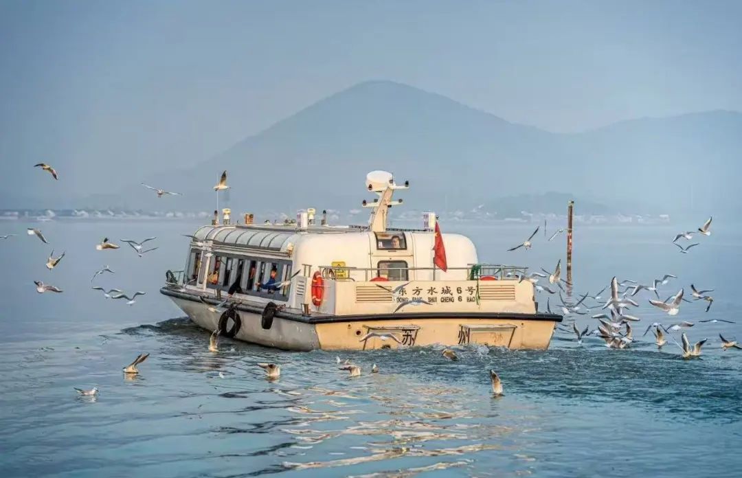 花开光福，禅意悠悠，湖岛曼妙