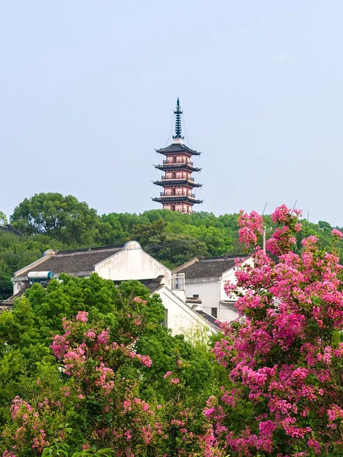 一树繁花，压弯了清夏