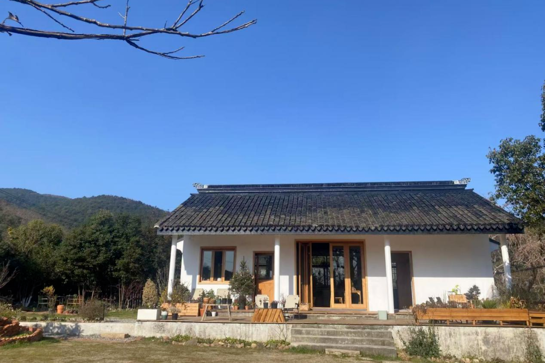 当太湖遇见拿铁：吴中村咖的诗意经济