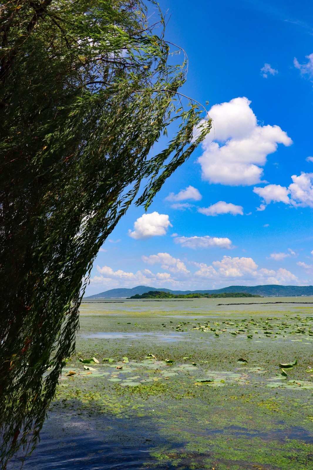 石公山N种清凉玩法，承包你的整个夏天~