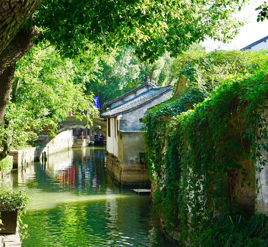 吴中夏日三原色，邀你入画来~