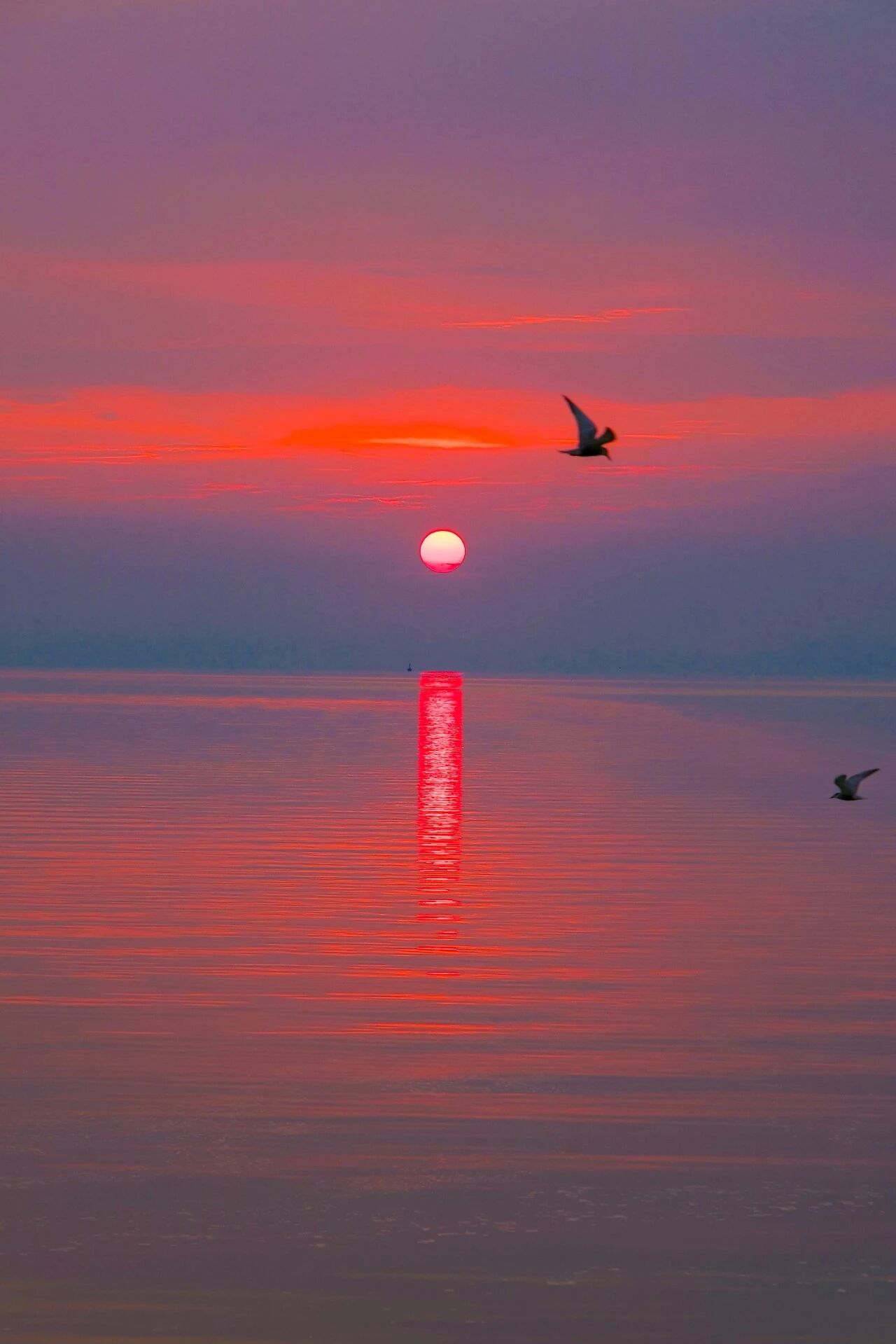 闯入橘子海般的黄昏，浪漫值满分