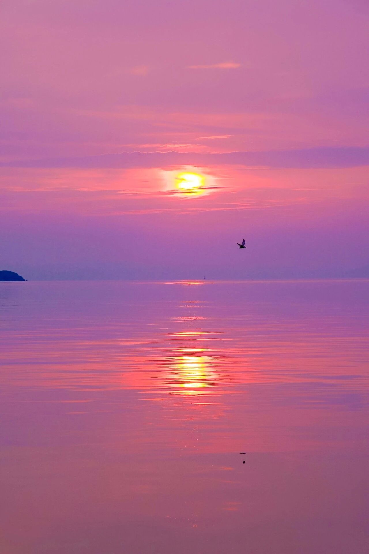 闯入橘子海般的黄昏，浪漫值满分