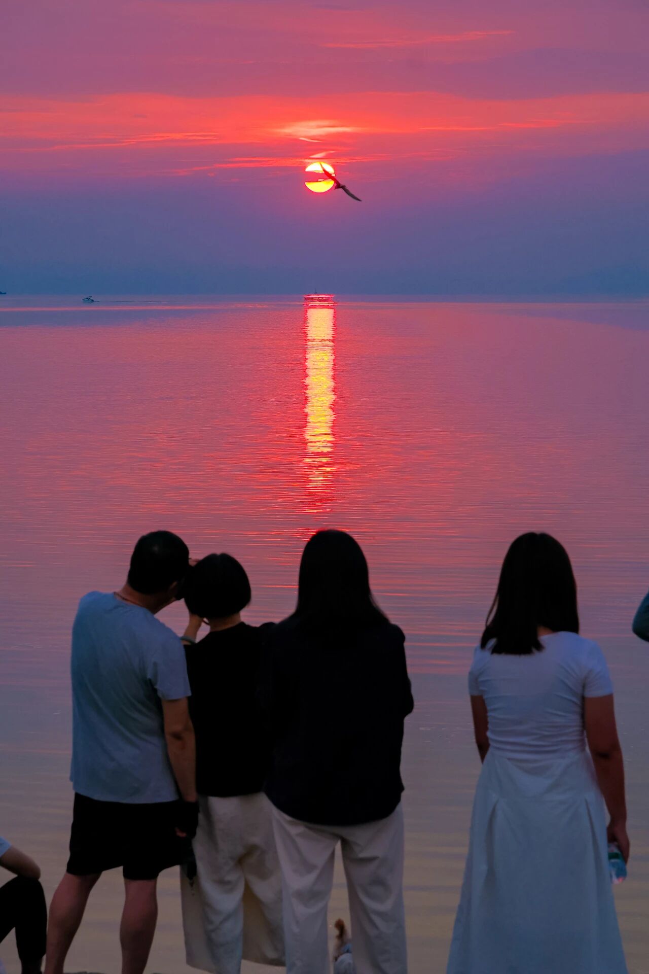 闯入橘子海般的黄昏，浪漫值满分