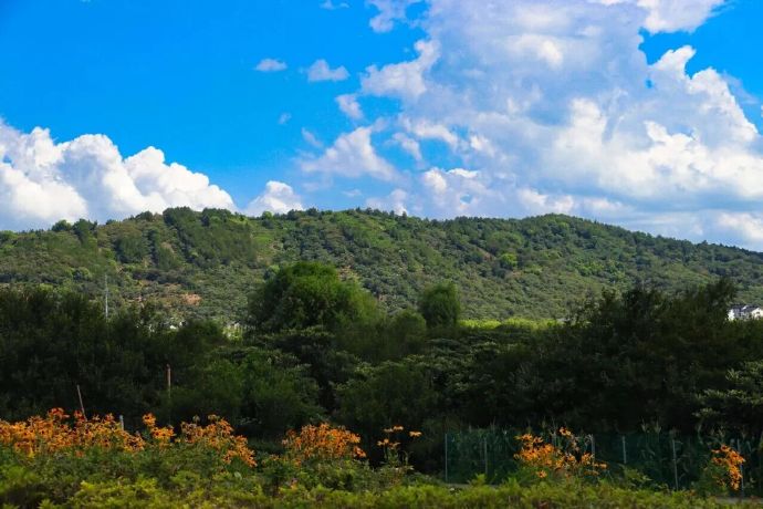 骑行追风，闯进初秋美景