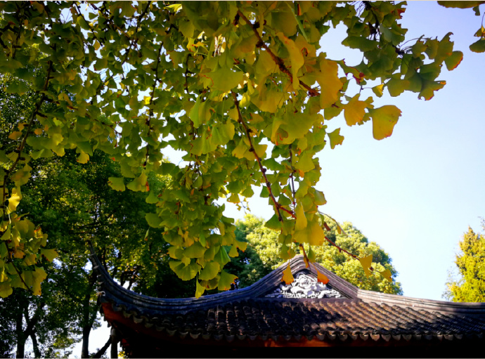 秋天的旅行清单，甪直必须有姓名