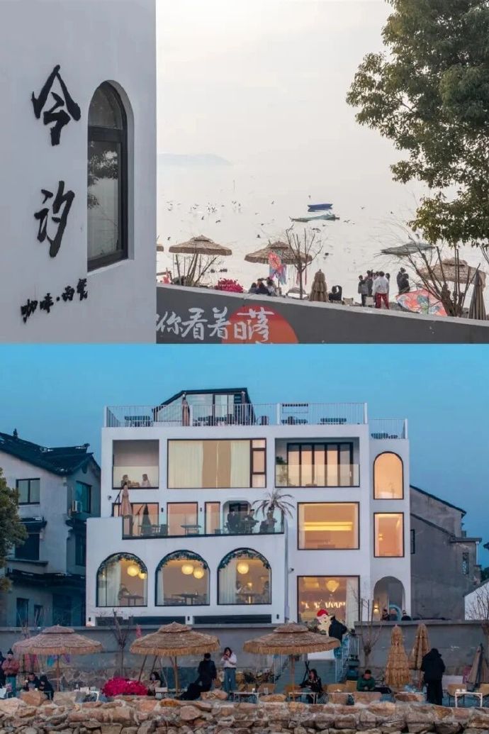 这条太湖观鸟路线,安利!