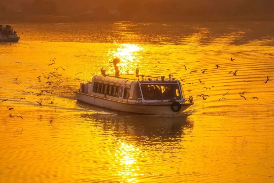 跟着这条线路观鸟去！