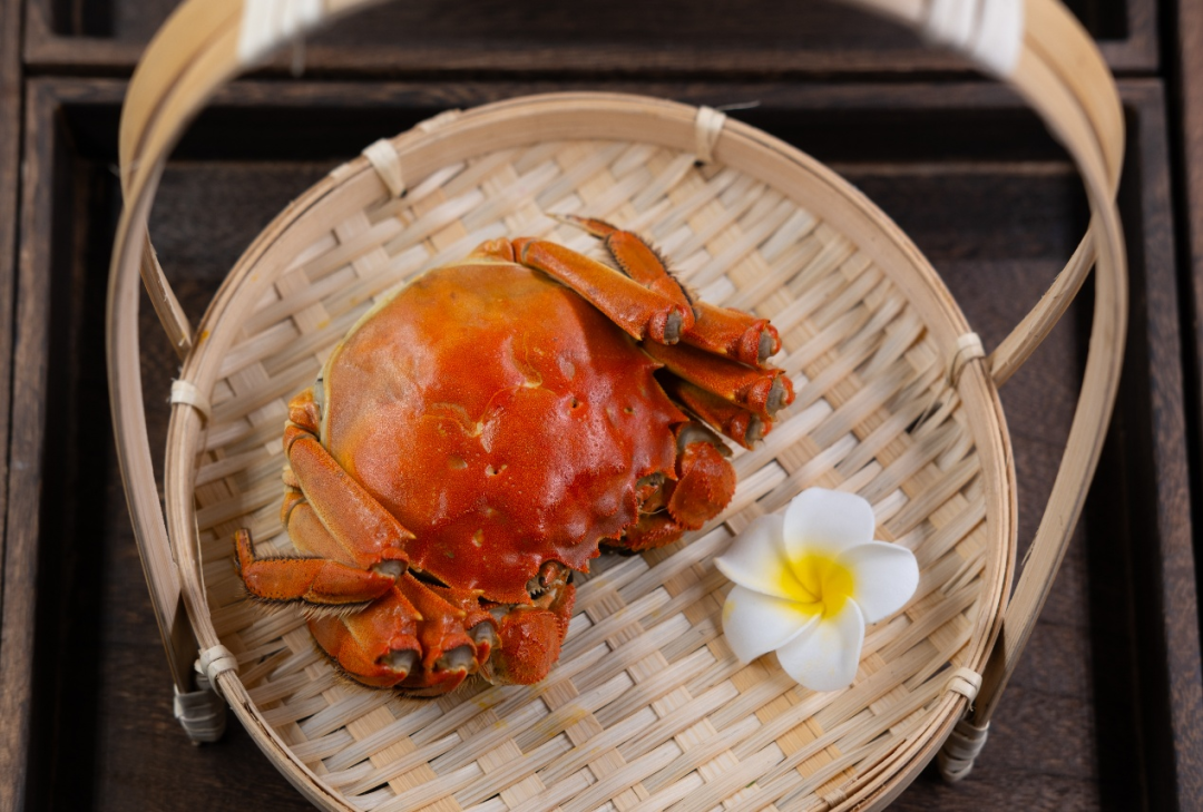 今日又重阳，登高吴中赏清秋！