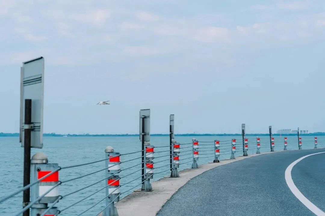 来吴中，观鸟去！