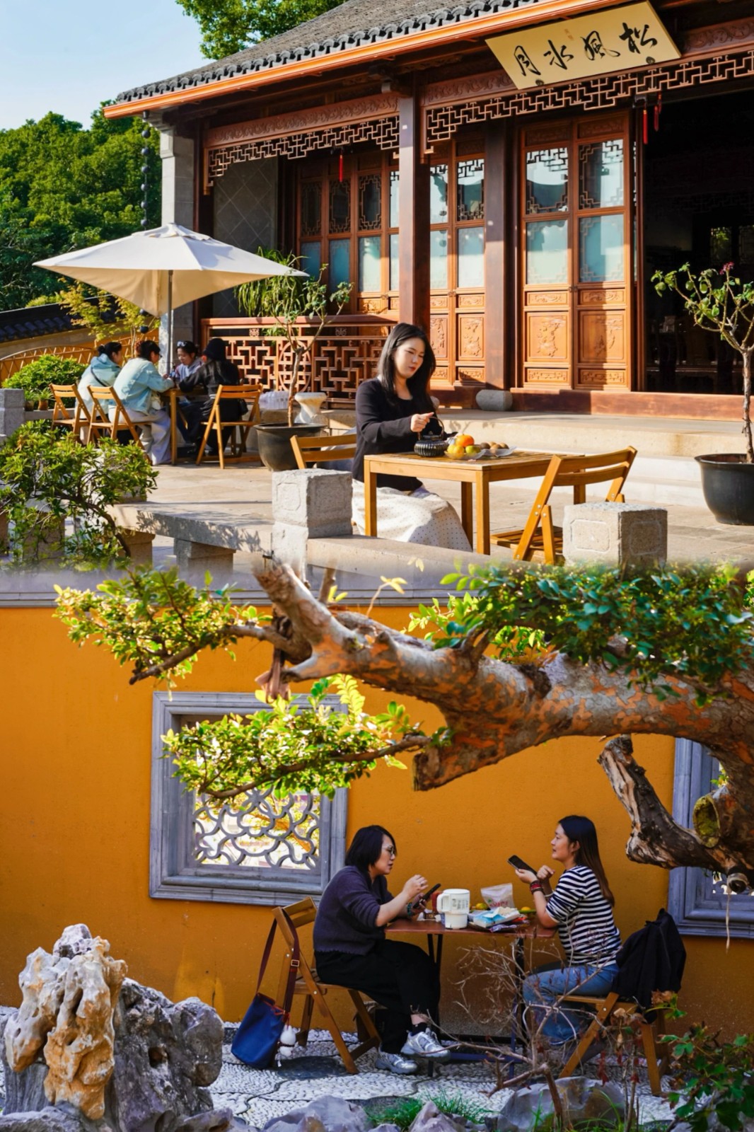 吴中咖啡馆茶馆打卡Vol.6→松风水月茶室