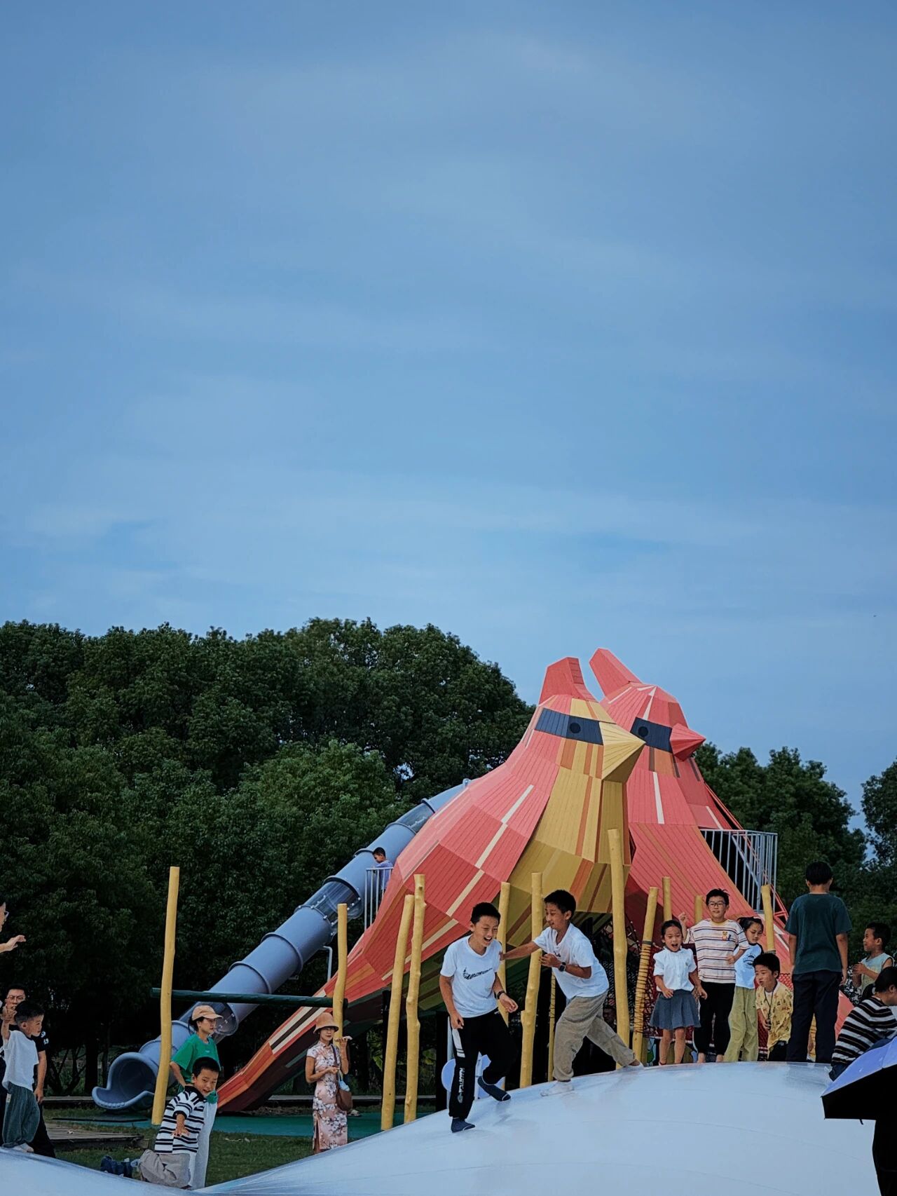 跟着这条线路，上岛观鸟去~