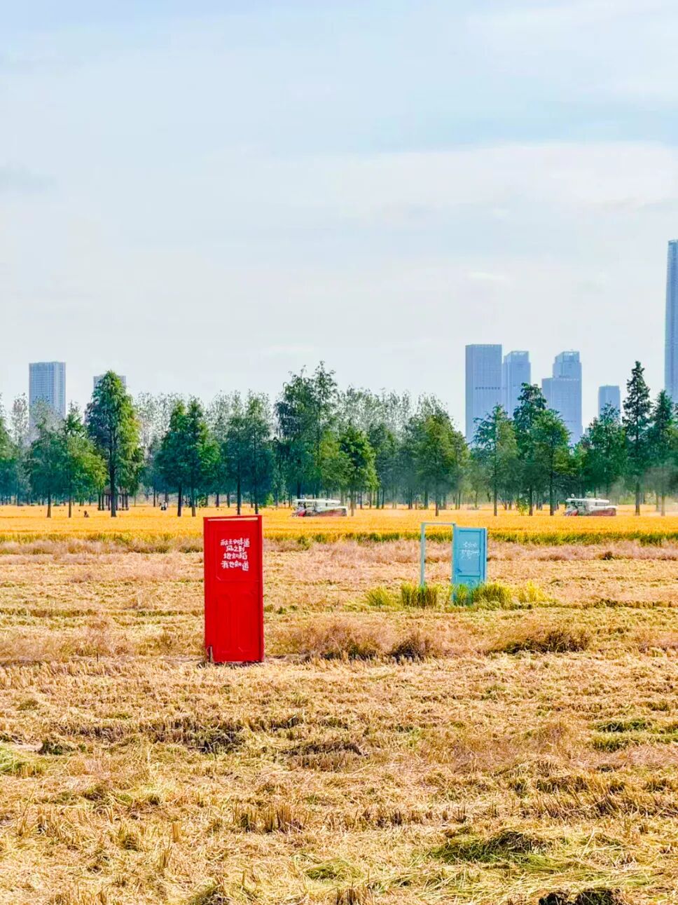 金秋开镰！暖村第一口新米即将上市~