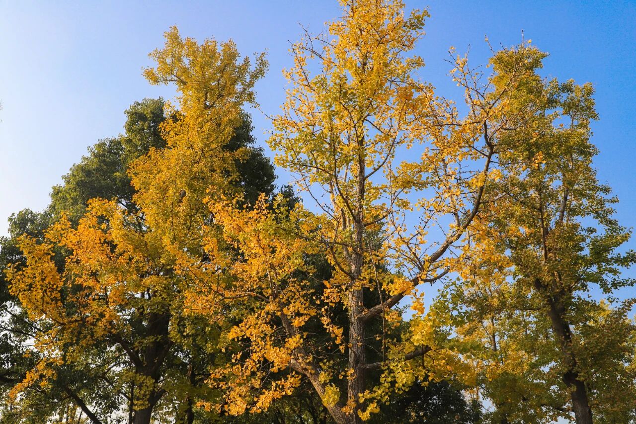 去山野间，看大自然的五彩斑斓