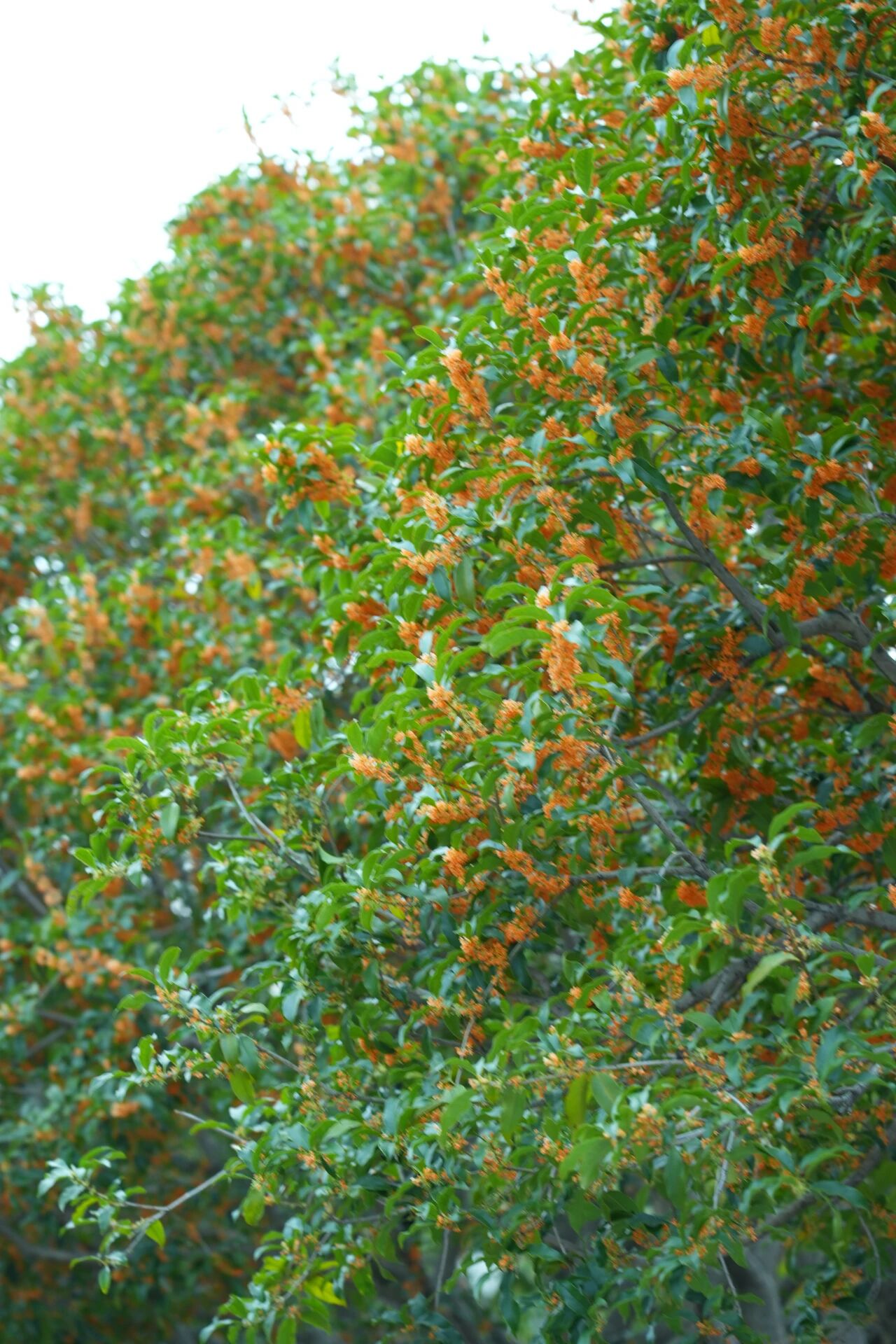 去山野间，看大自然的五彩斑斓