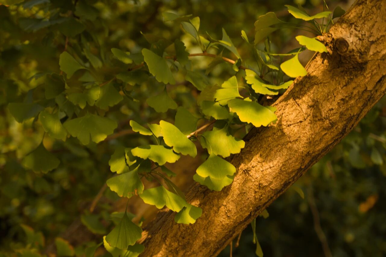 去山野间，看大自然的五彩斑斓