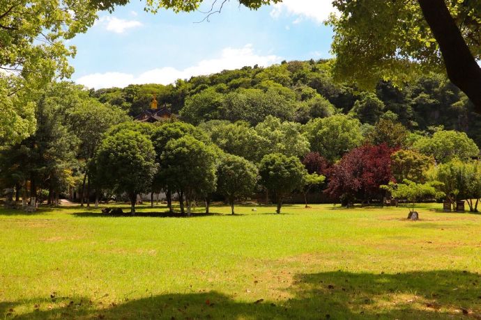 石公山的秋天，太治愈了！