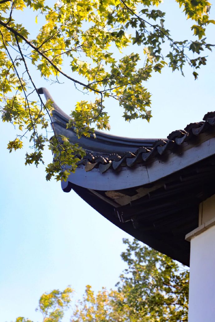 石公山的秋天，太治愈了！