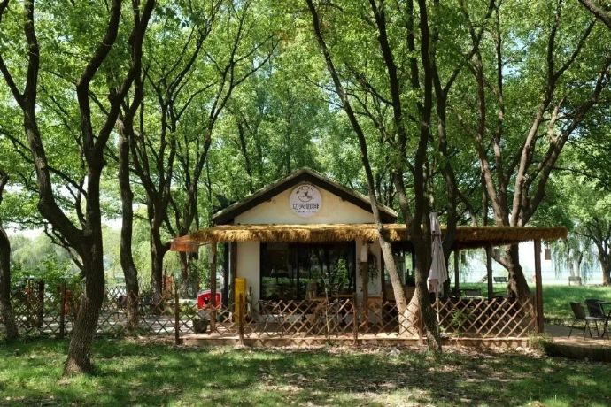 石公山的秋天，太治愈了！