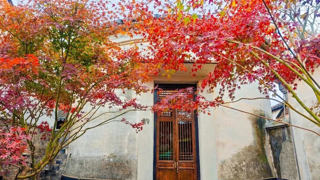 逛一逛原生态街巷，喝一杯闲情逸致