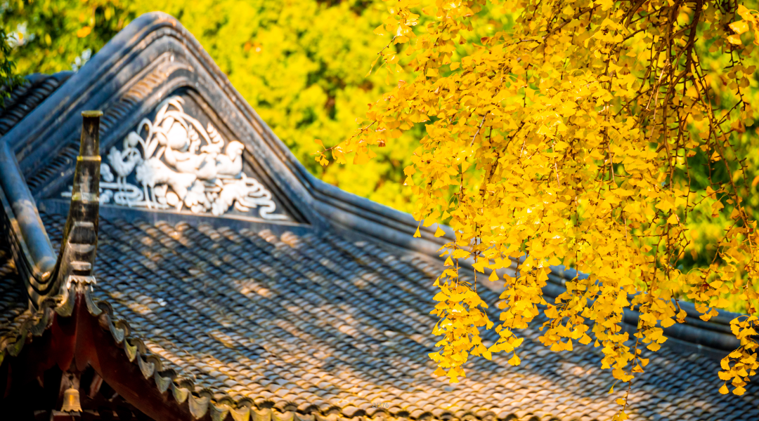 逛一逛原生态街巷，喝一杯闲情逸致