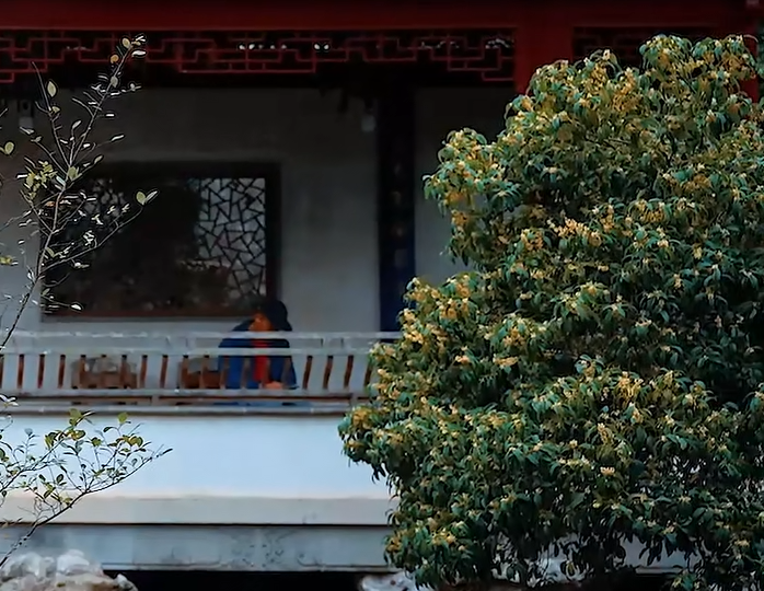 美!西山雕花楼进入“浪漫时间”~