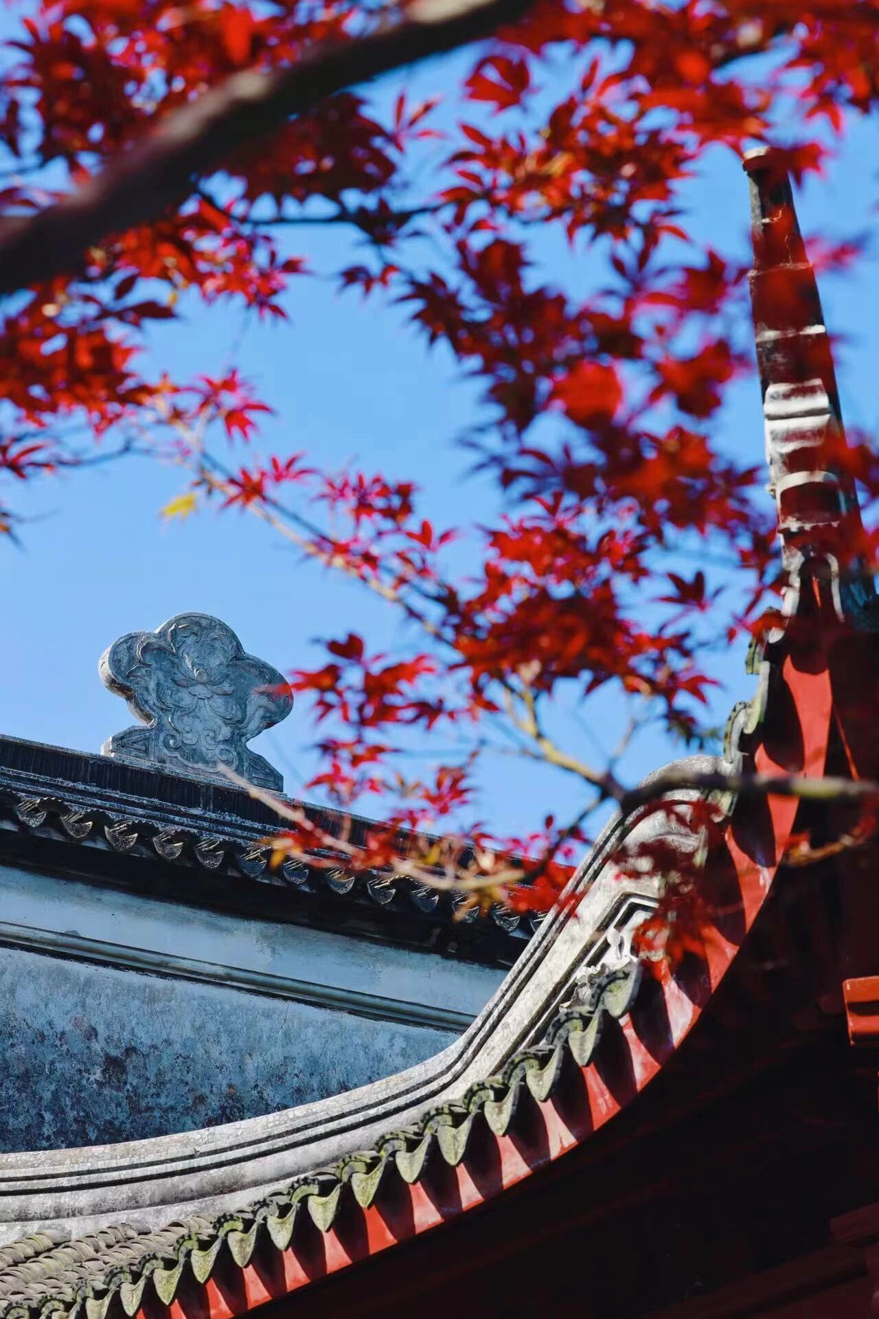 美!西山雕花楼进入“浪漫时间”~