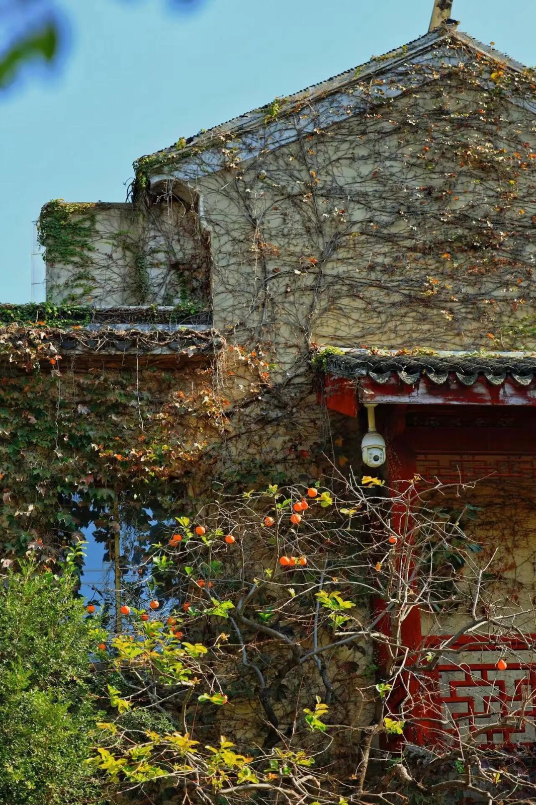 美！西山雕花楼进入“浪漫时间”~