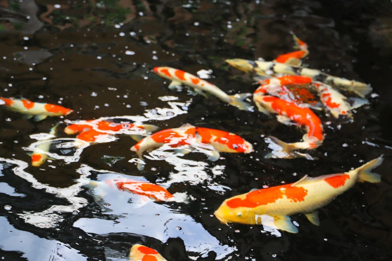 美!西山雕花楼进入“浪漫时间”~