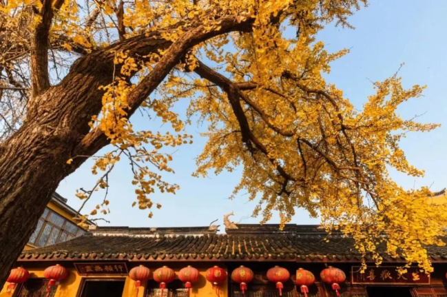 3条精选观鸟线路，自在畅游！