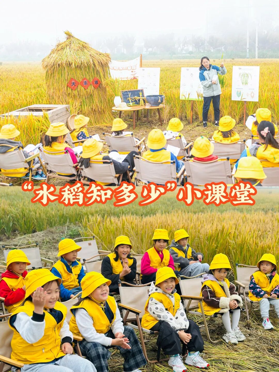 宿城：来宿城，解锁N种田园撒欢方式！