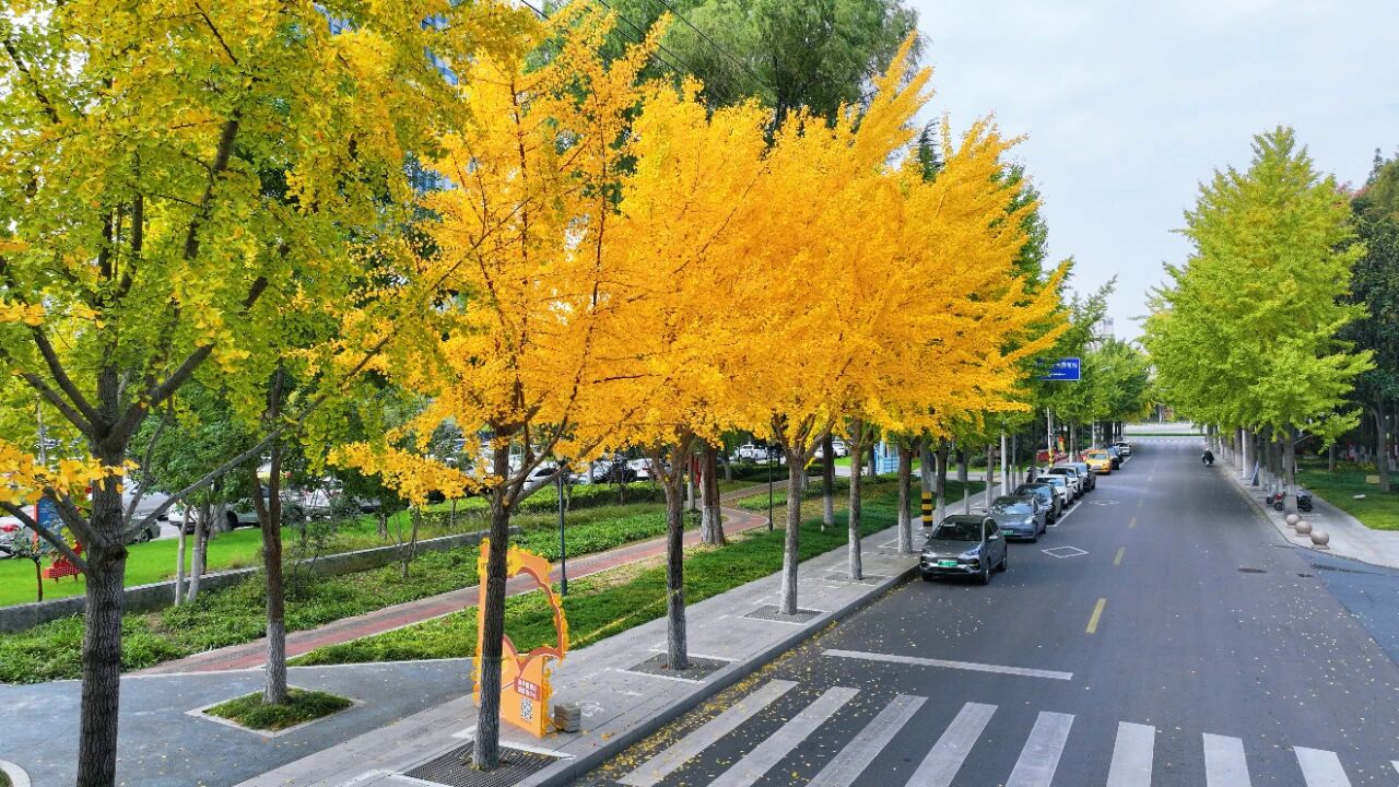 宿城：绝美！走，打卡去！