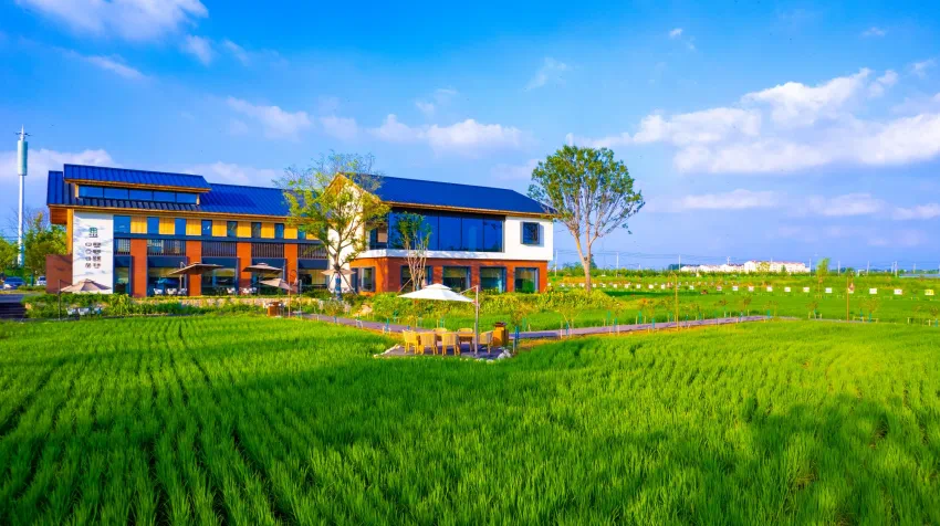 宿城：宿城春日“快乐密码”，待解锁