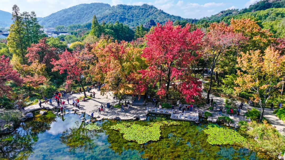 红了！一篇全搞定！一票游吴中！