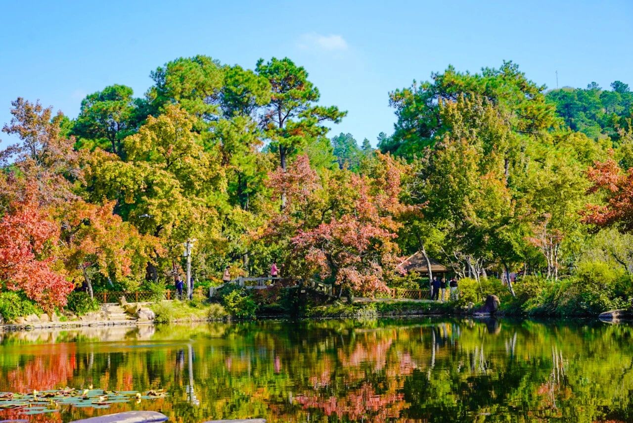 红了！一篇全搞定！一票游吴中！