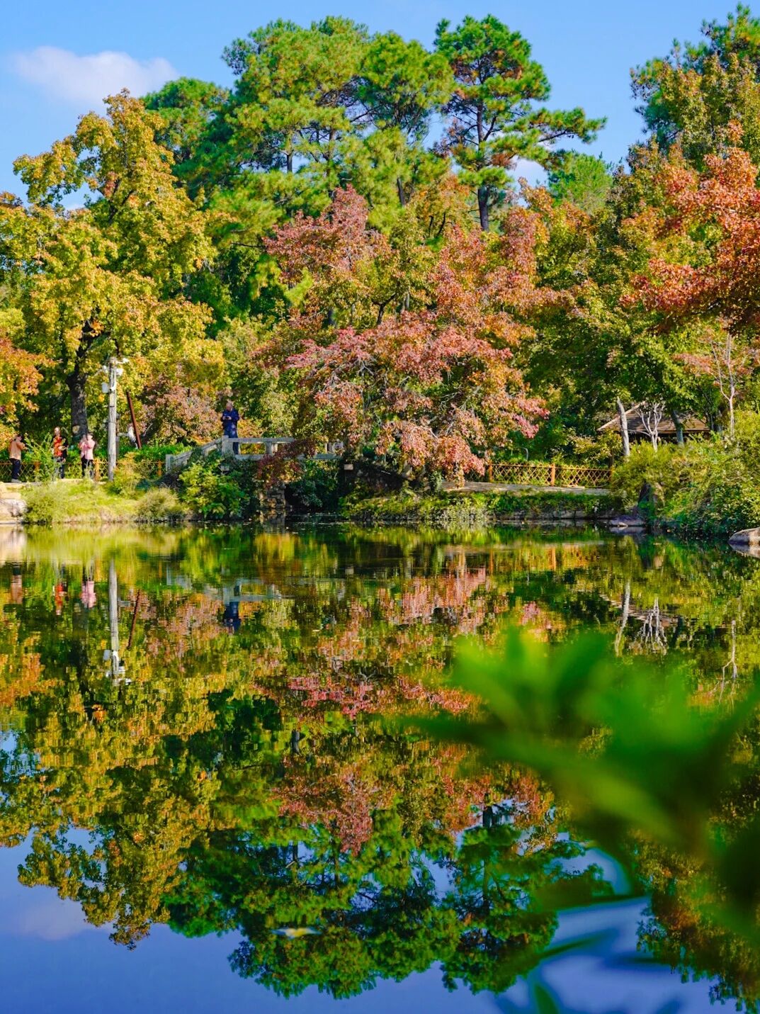 一片落叶，装下吴中的秋