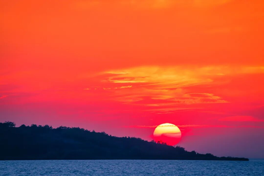 来太湖摘橘子啦~