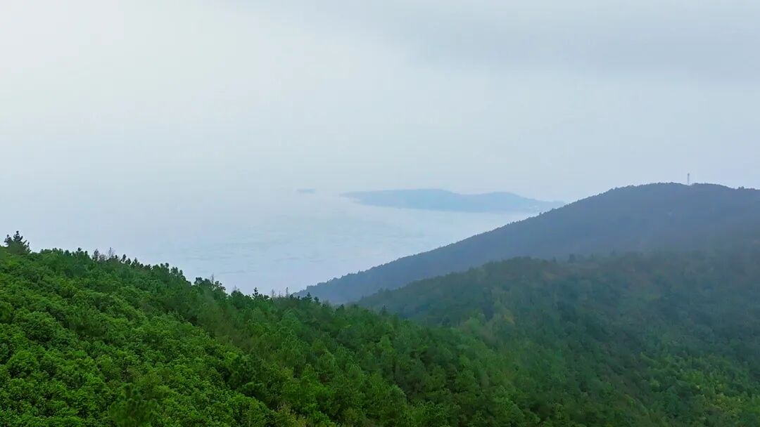 来太湖摘橘子啦~