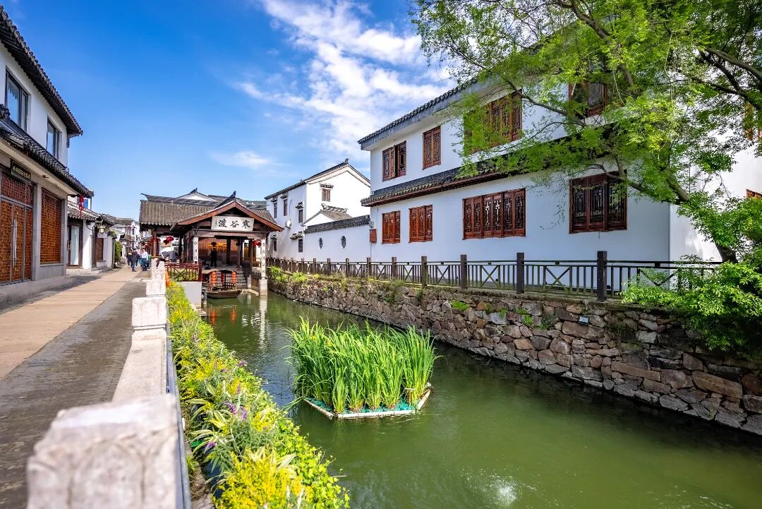 来太湖摘橘子啦~