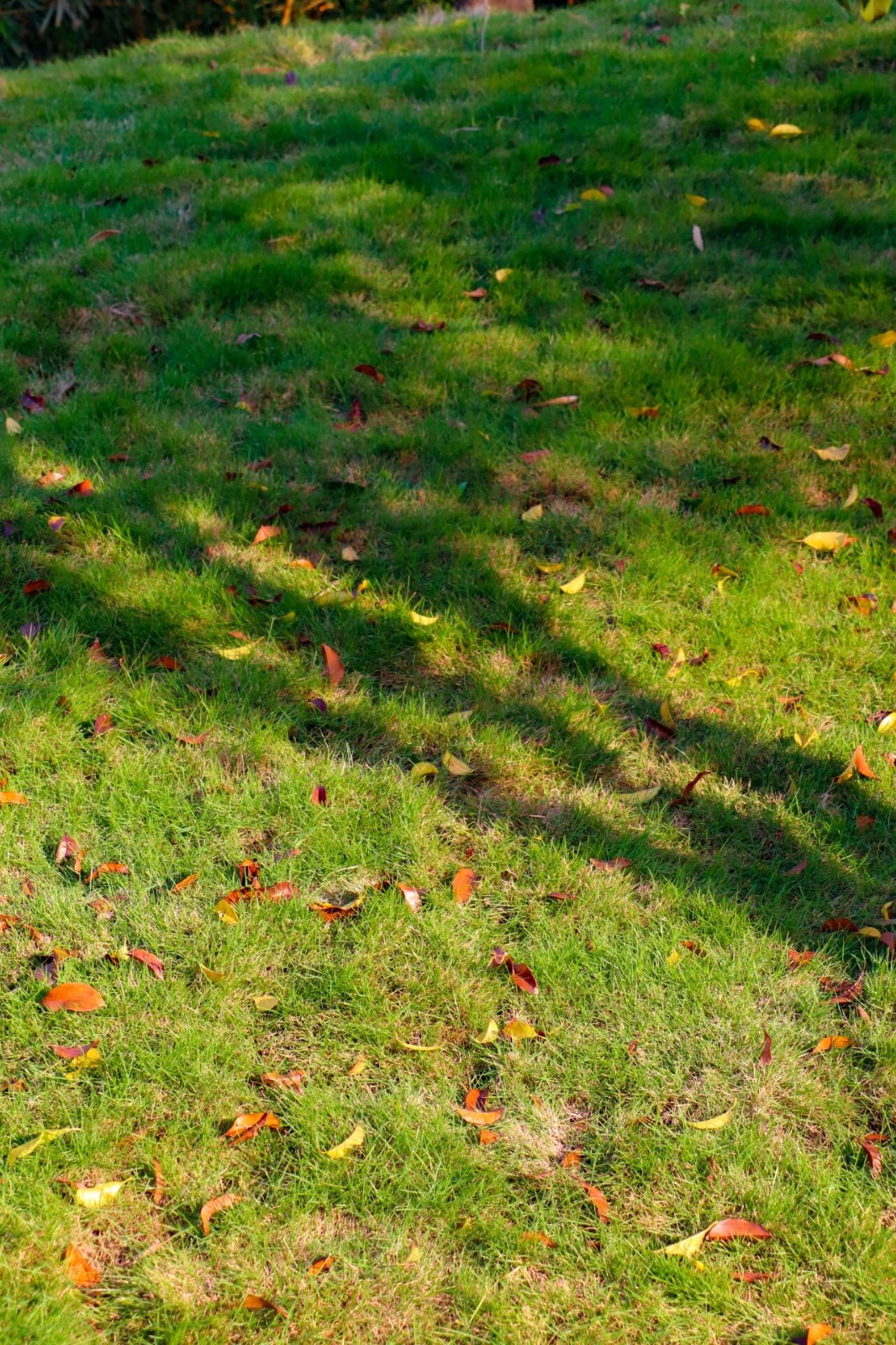 秋日来信，一起“趣”寻秋~