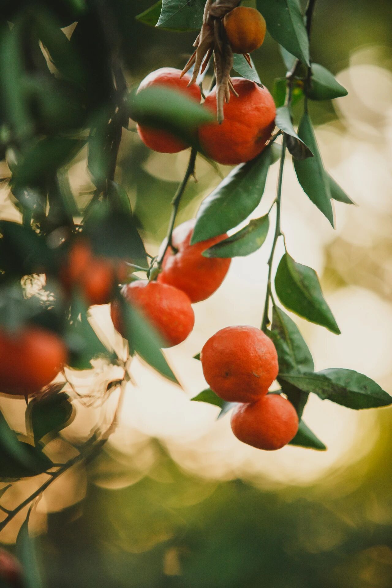 秋日来信，一起“趣”寻秋~