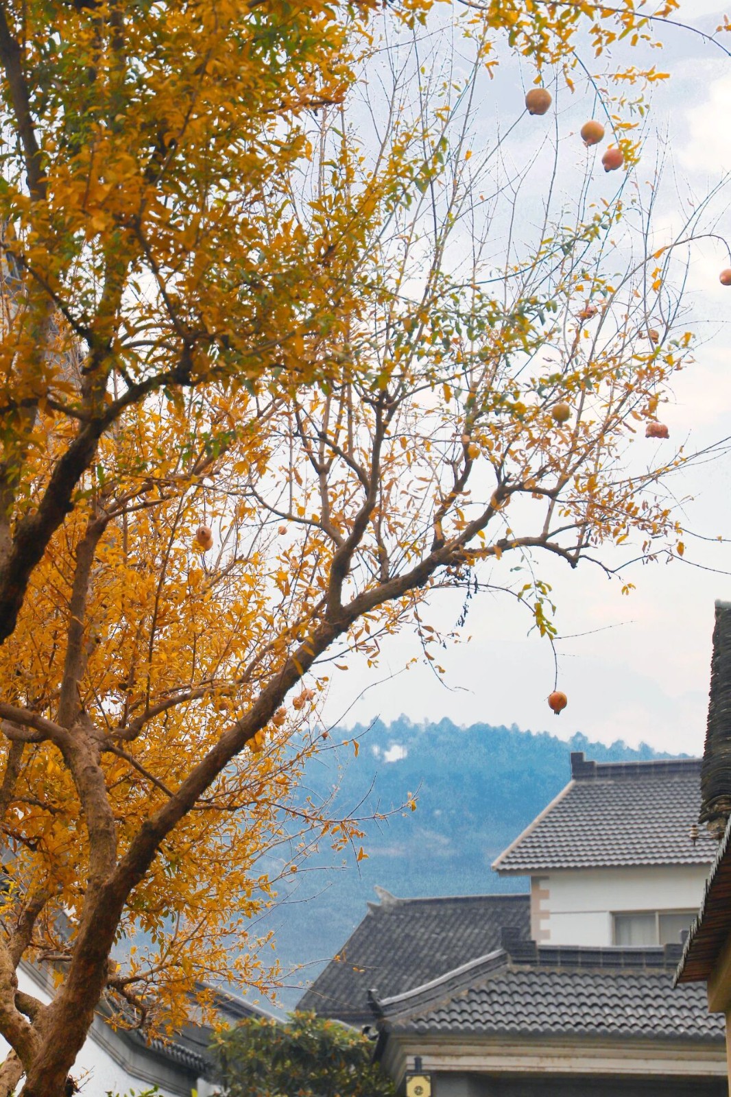 秋骑限定！解锁西山岛治愈骑行路线～