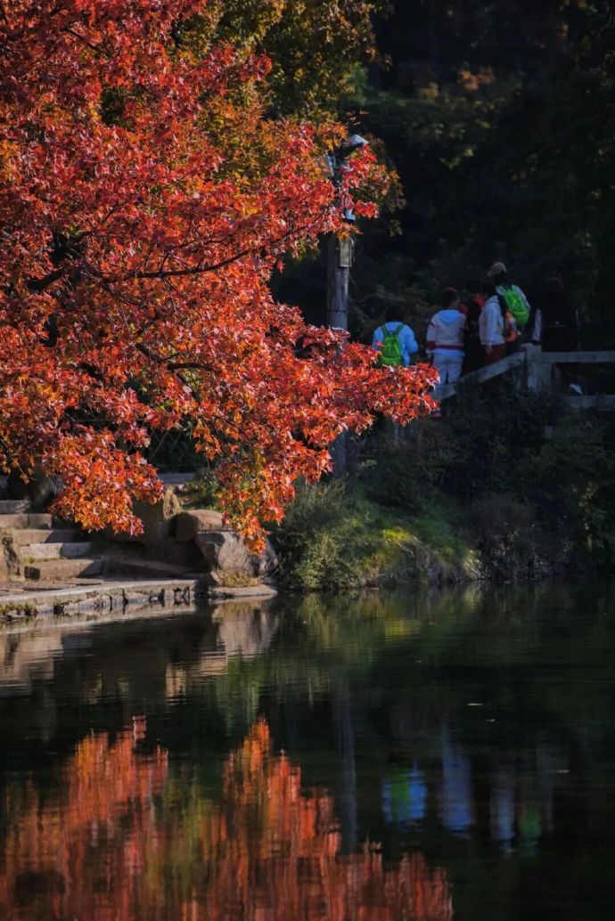 这份“聘书”快签收！附天平山避堵攻略！