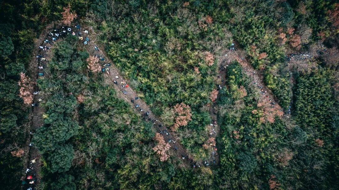 湖山寻野，茶香问路！2025 XTERRA太湖越野挑战赛周边漫游全指南