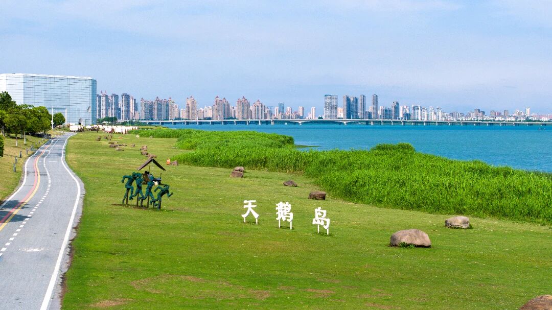 萌宠、骑行、咖啡……解锁太湖N种玩法！