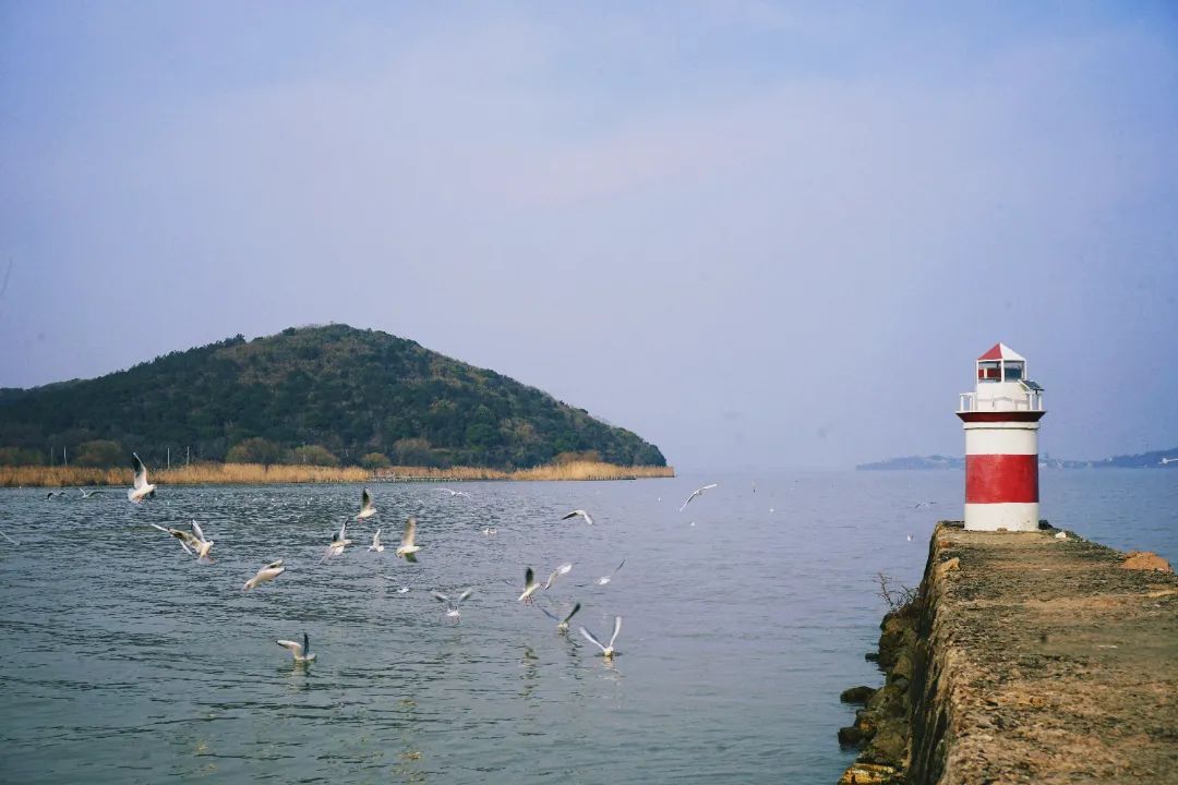 《吴中观鸟地图》来啦！苏州西海岸欢迎你