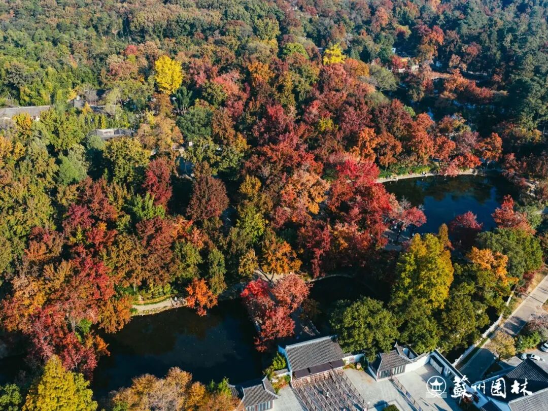 赏枫逛吃淘文创，这份攻略全都有