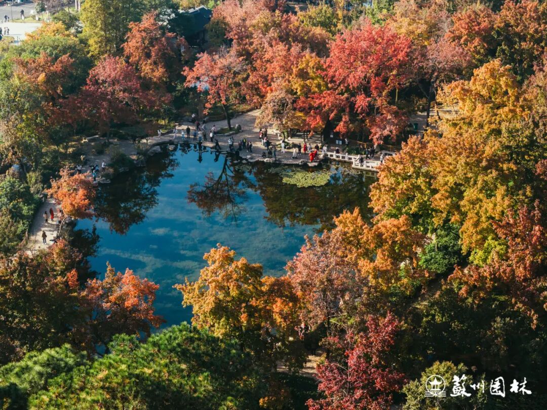 赏枫逛吃淘文创，这份攻略全都有