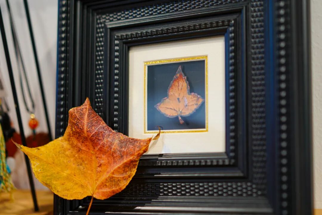 赏枫逛吃淘文创，这份攻略全都有